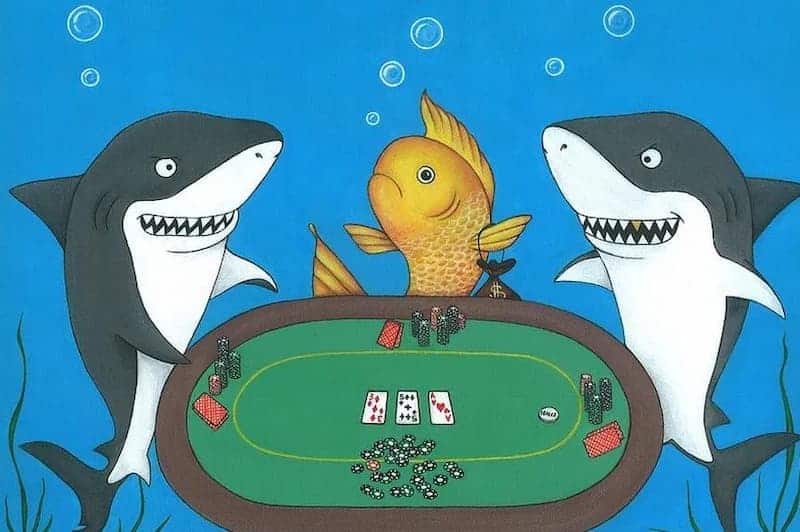 Làm thế nào khi biết có Fish trong Poker?