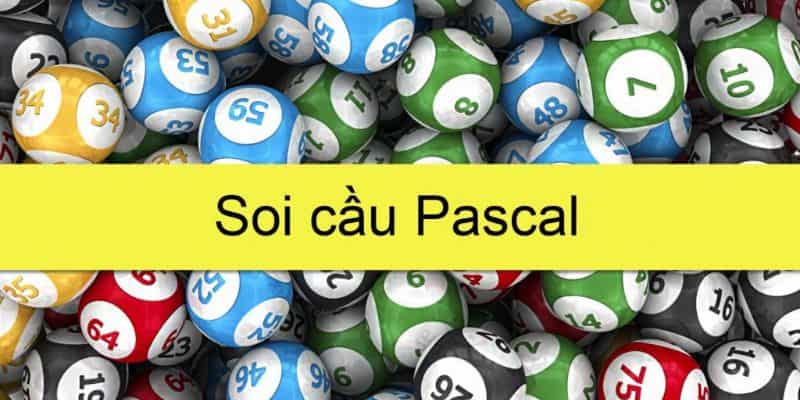 Pascal 789lcub